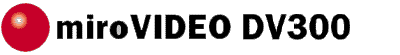 dv300font.GIF (2309 Byte)