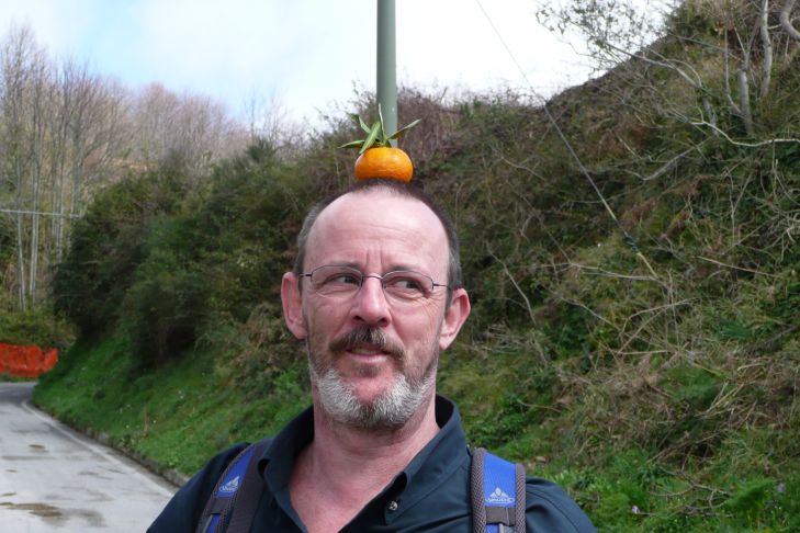 Orange-King