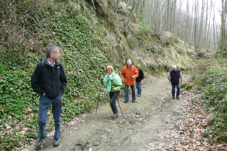 Hohlweg