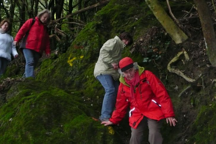 Urwald