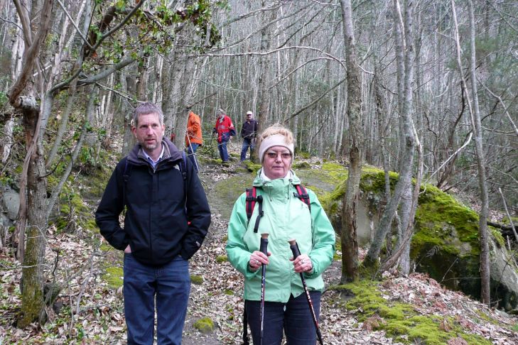 laubloser Wald