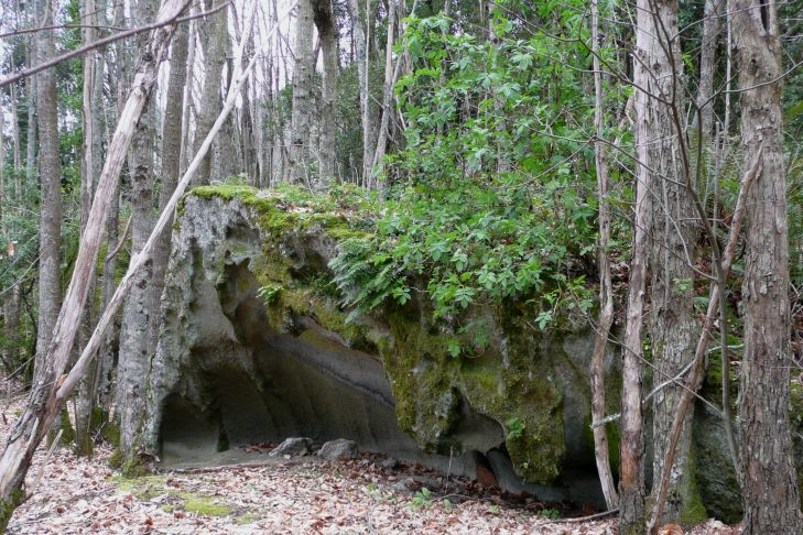 ausgehöhlte Felsen