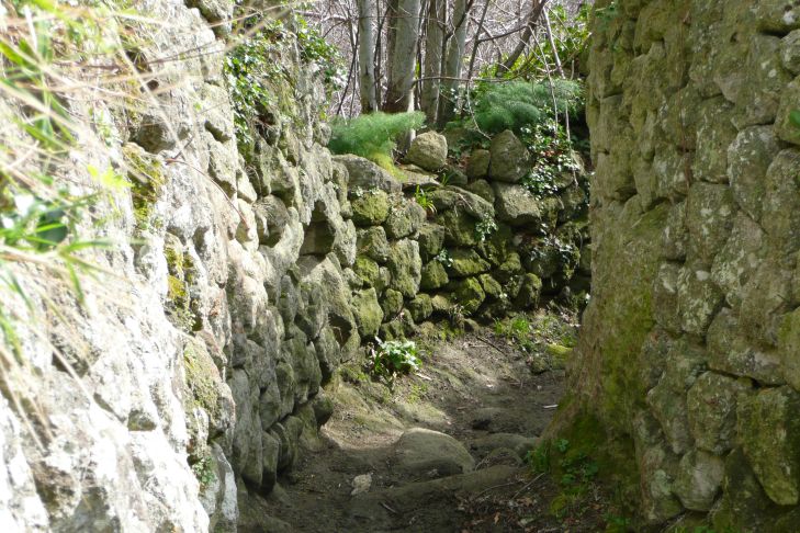 Steingasse