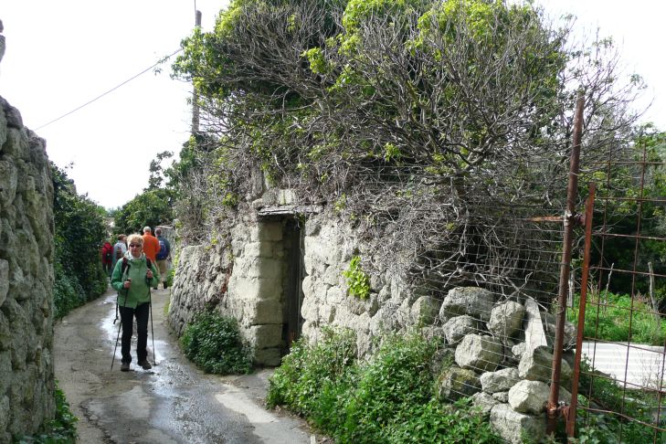 Gartentor