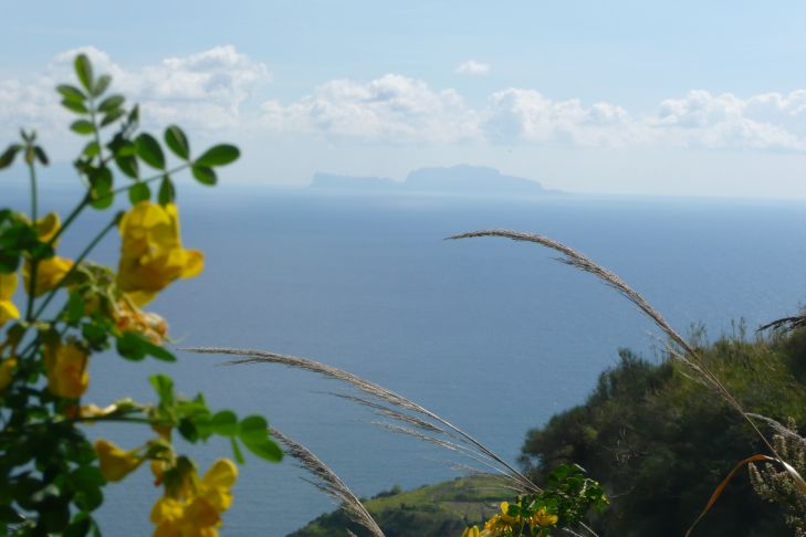 Capri