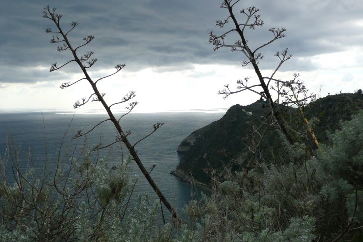 Gewitterwolken