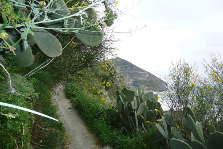 vor Maronti