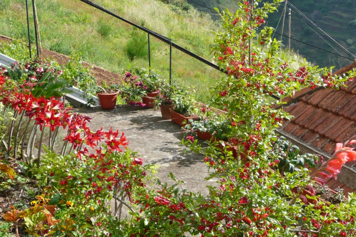 Hausgarten