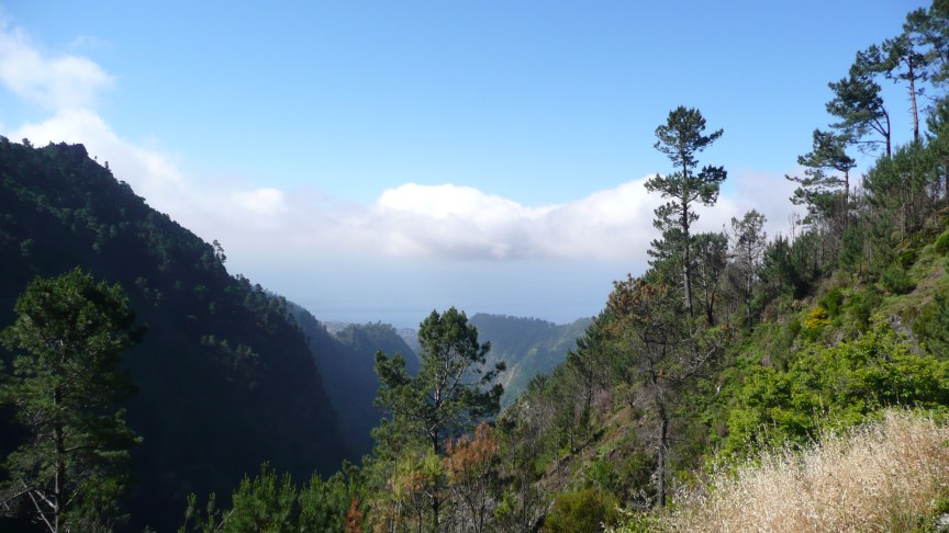 Blick zur Südküste
