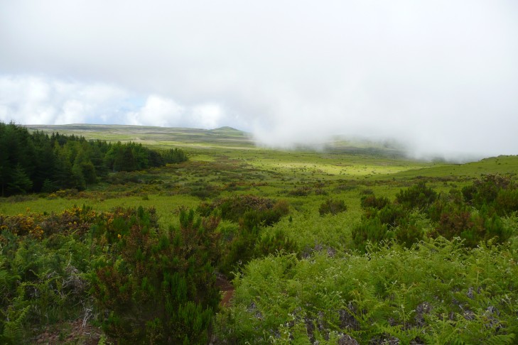 Hochebene beim Pico Ruivo do Paúl