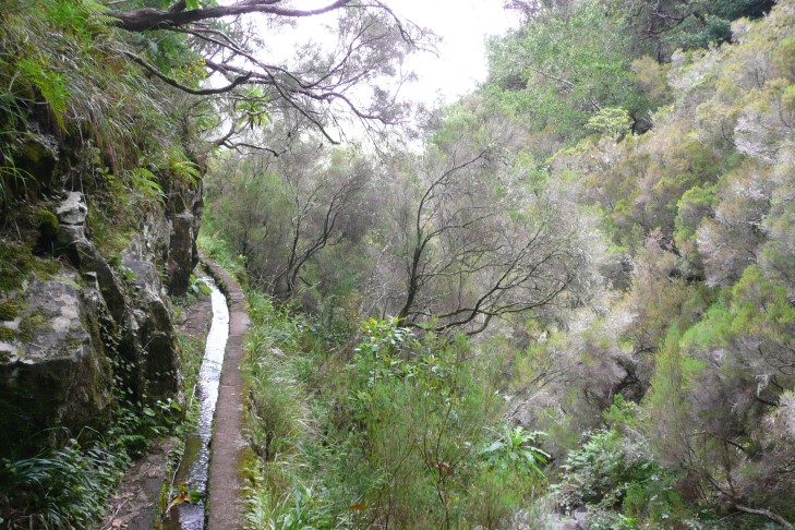 schmale Levada