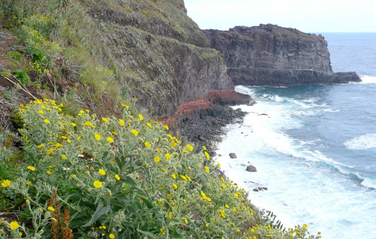 Ponta da São Jorge