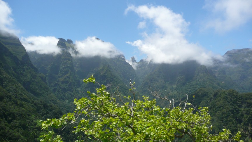 Picos im Nebel