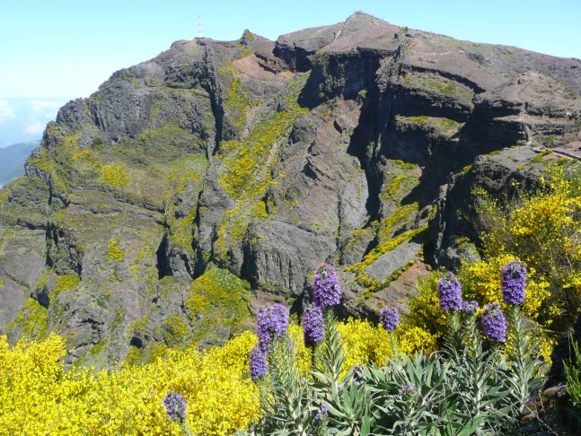 Pico do Arieiro