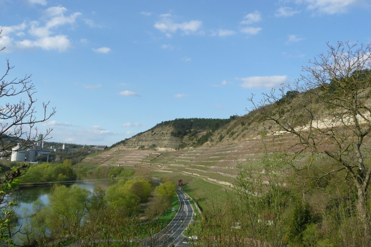 Weinberg
