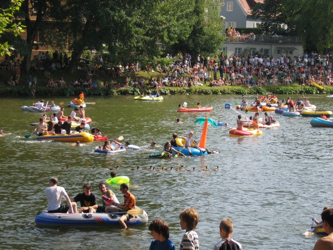 Enten auf der Flucht