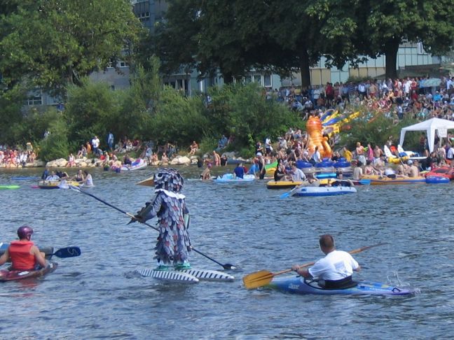 Spatz auf dem Wasser