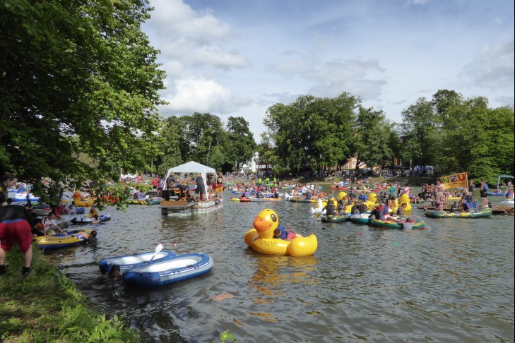 Ente gut