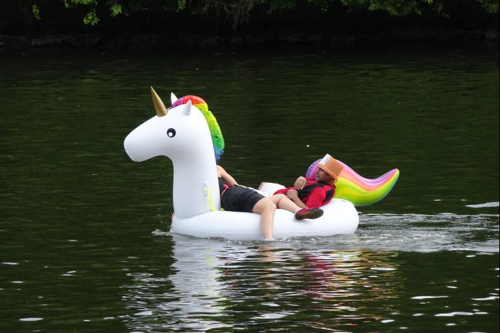 Einhorn