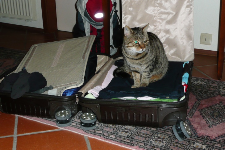 Kater