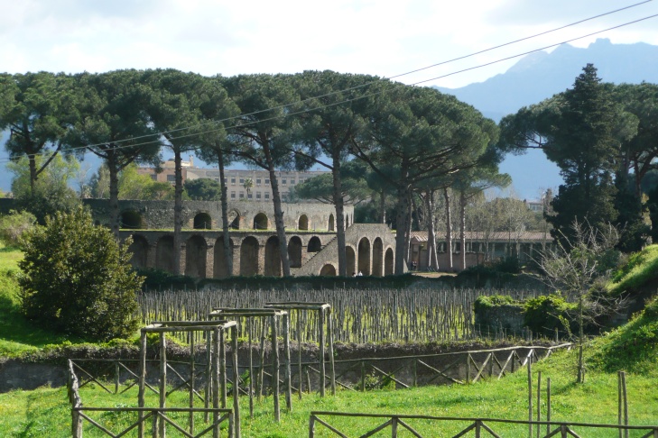 Amphitheater