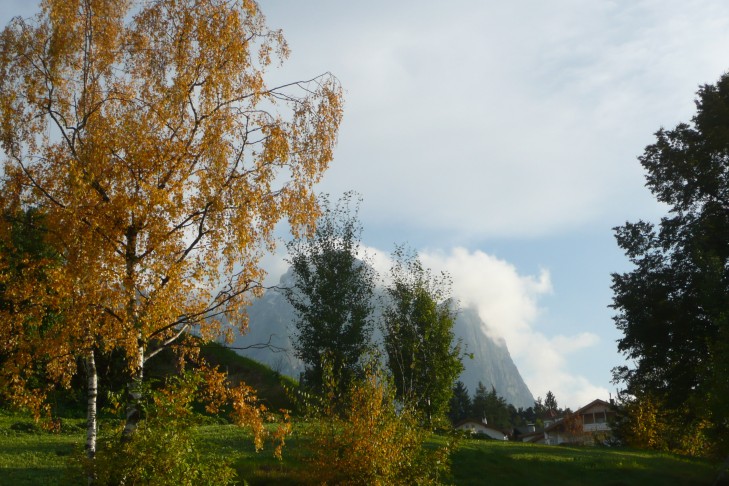 Telfen