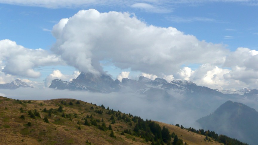 Sas Rigais