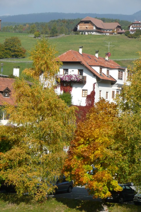 Herbst am Ritten