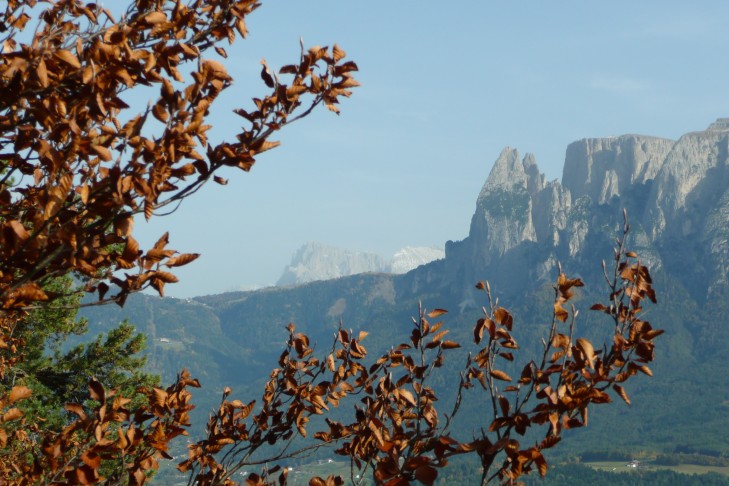 Langkofel