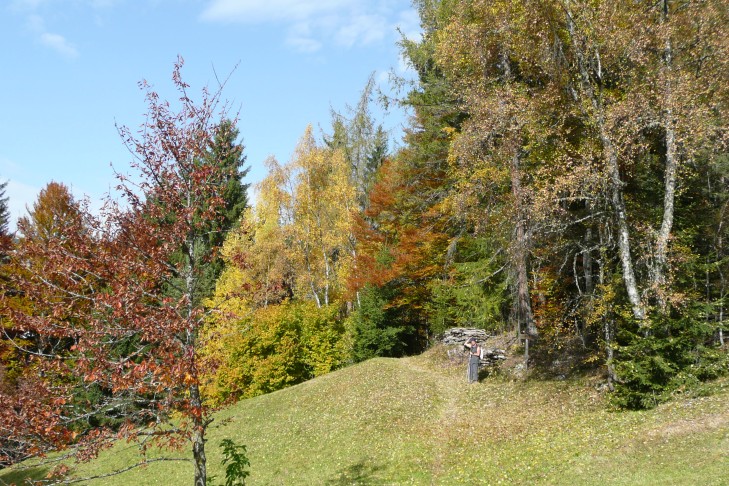 Weg 17