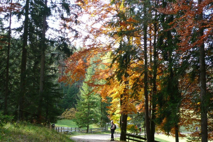 zum Lobishof