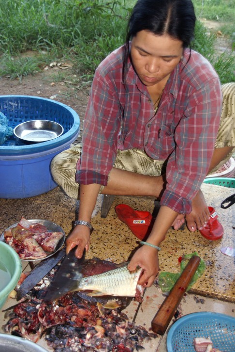 Fische ausnehmen