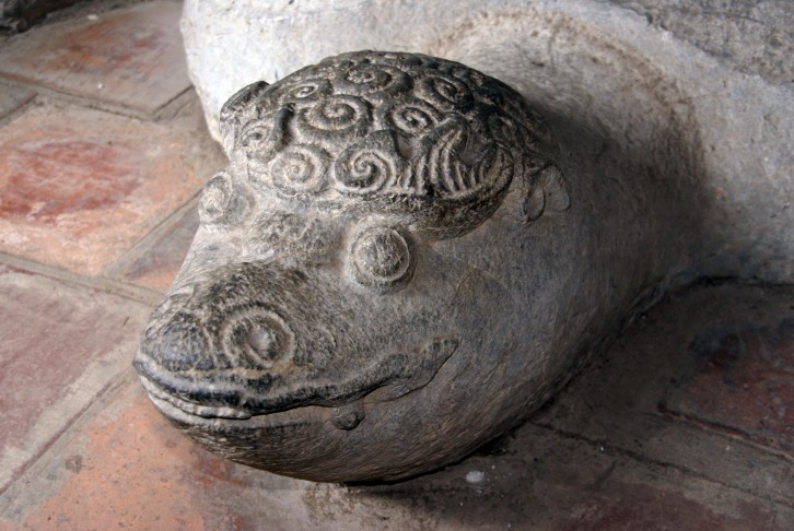 Schildkröte