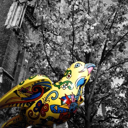 copyright Martin Janich 1