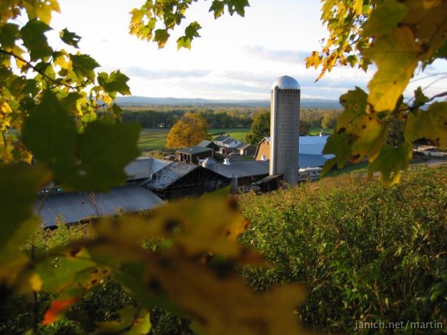 copyright Martin Janich 3