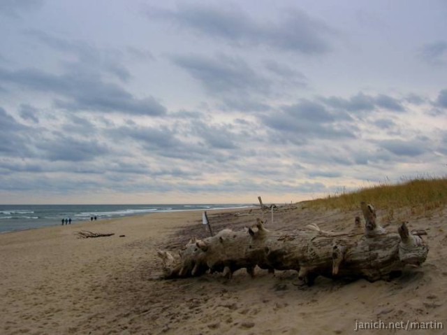 copyright Martin Janich 4