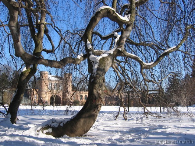 copyright Martin Janich 4